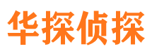 龙山侦探公司